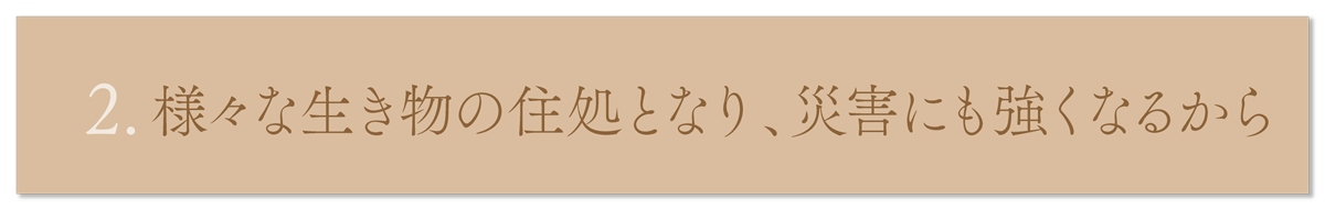 WebPの画像