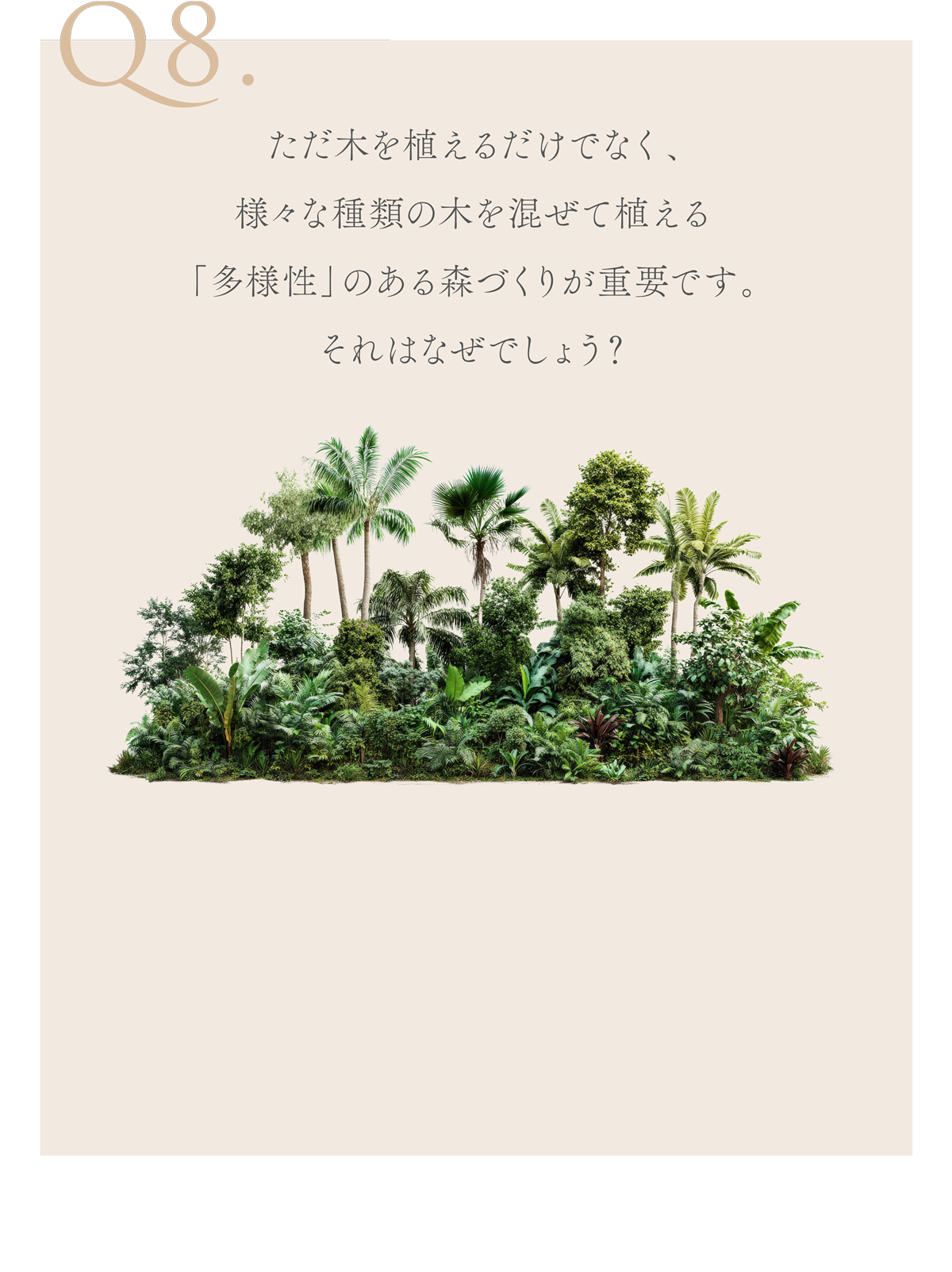 WebPの画像