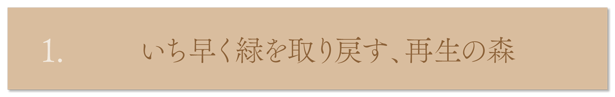 WebPの画像
