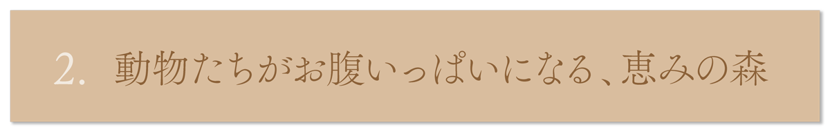 WebPの画像