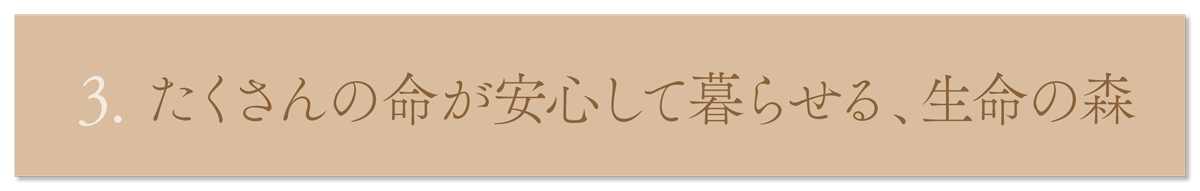 WebPの画像