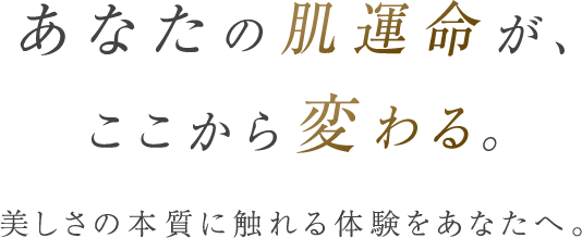 WebPの画像