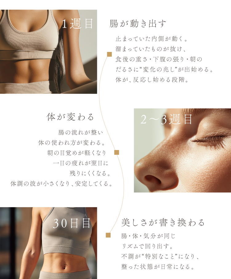 cranberry クランベリ