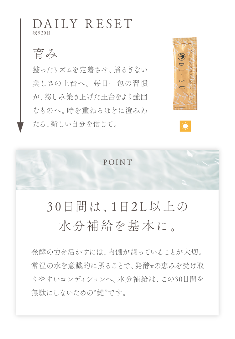 cranberry クランベリ