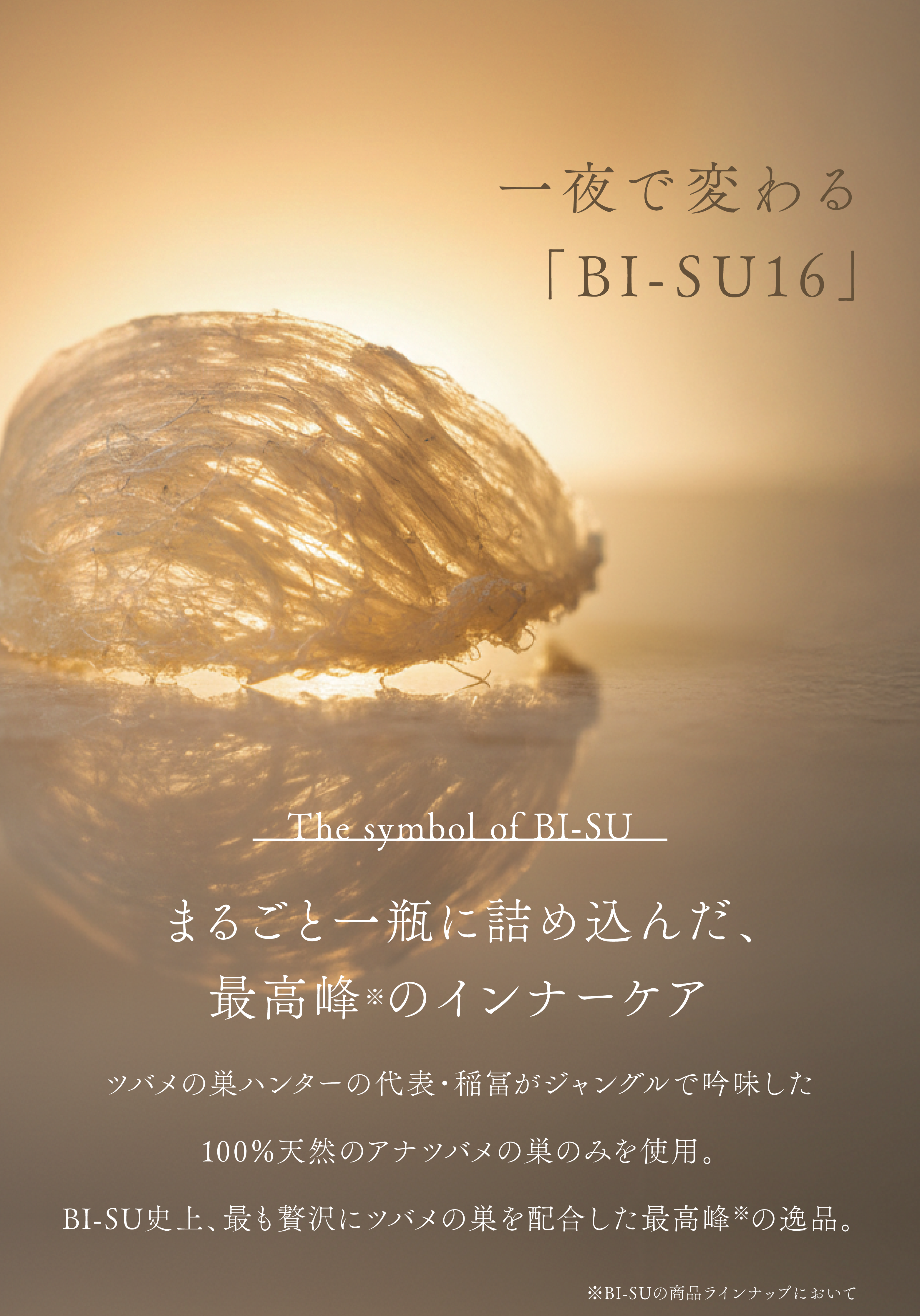 WebPの画像