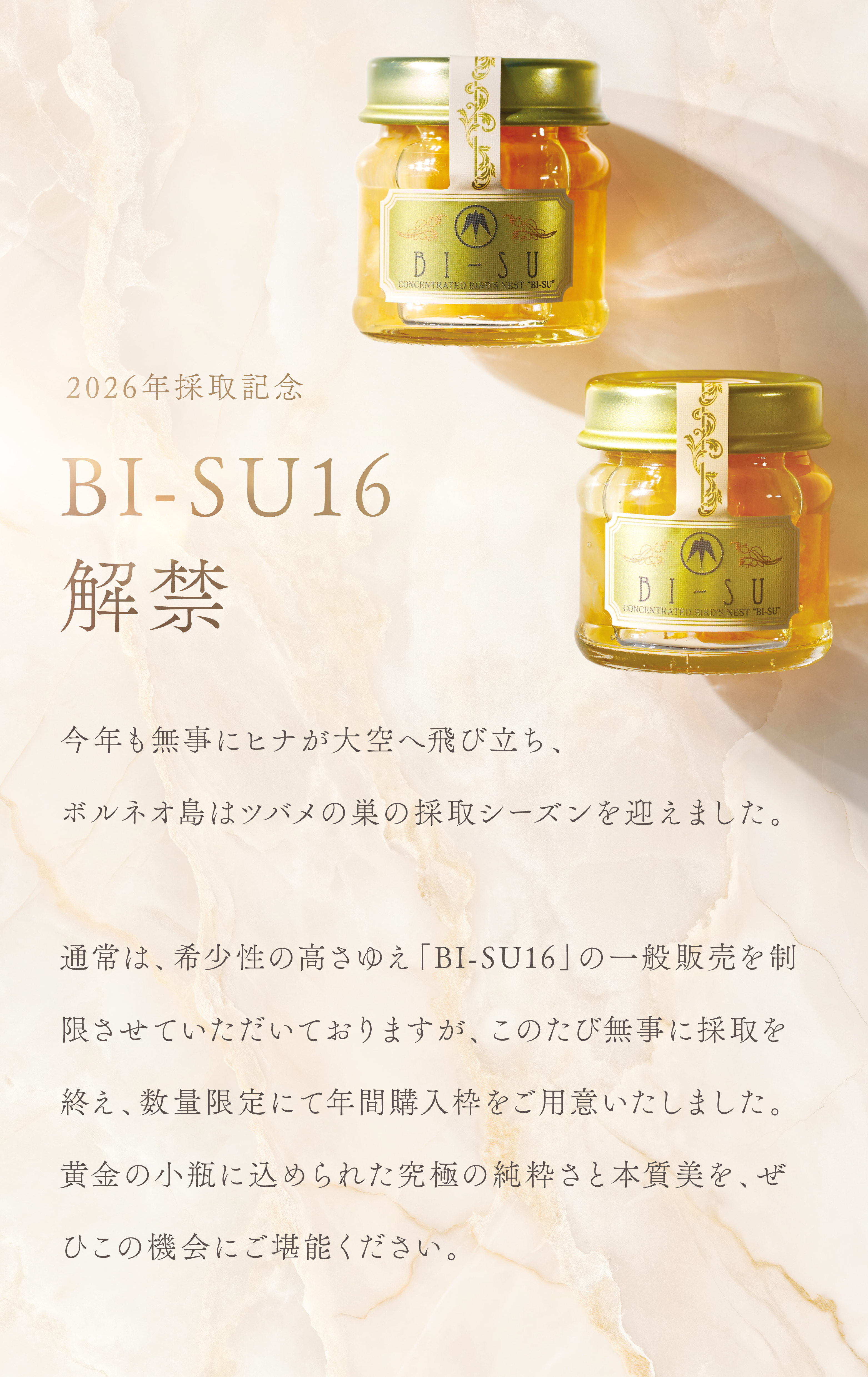 WebPの画像