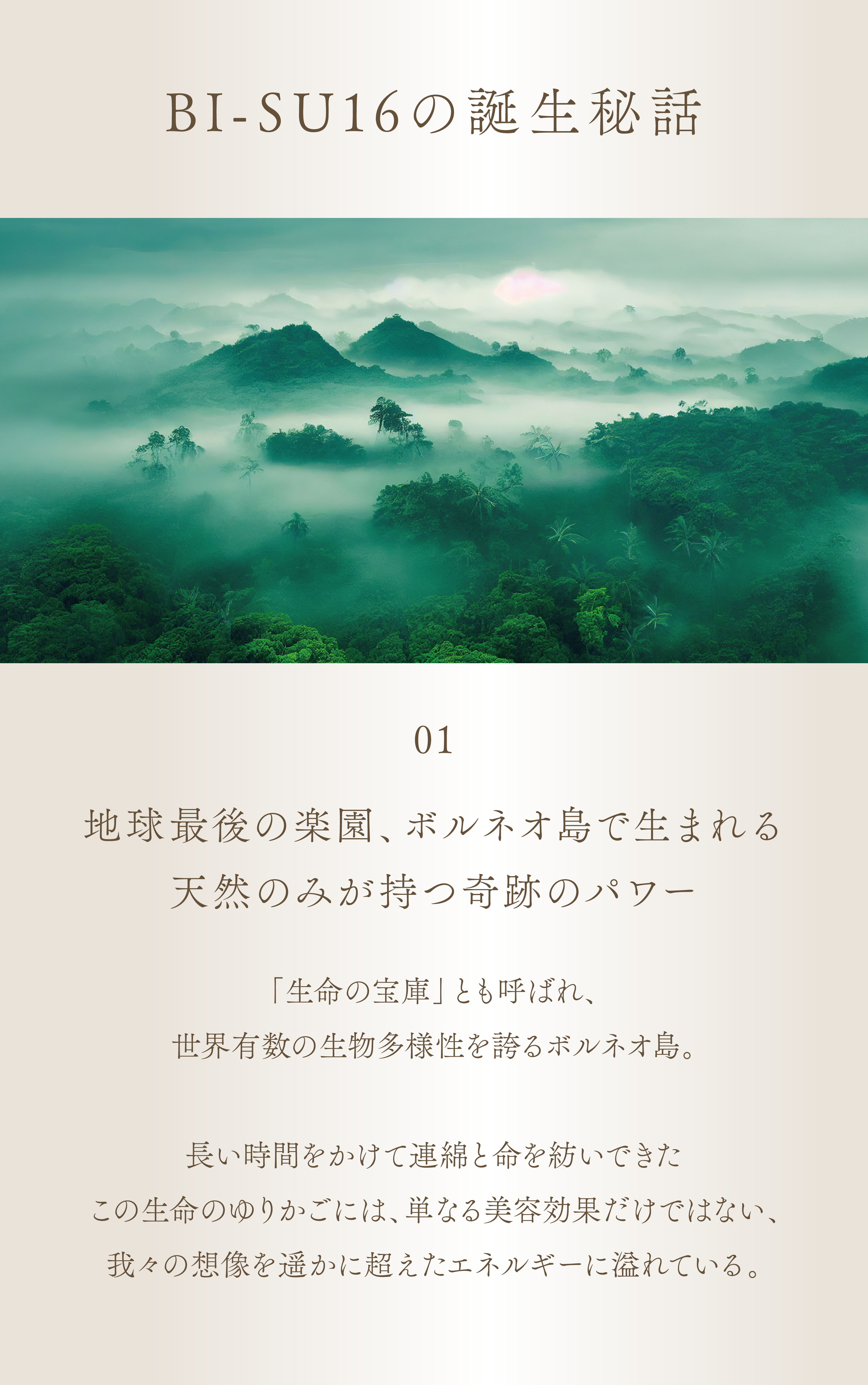 WebPの画像
