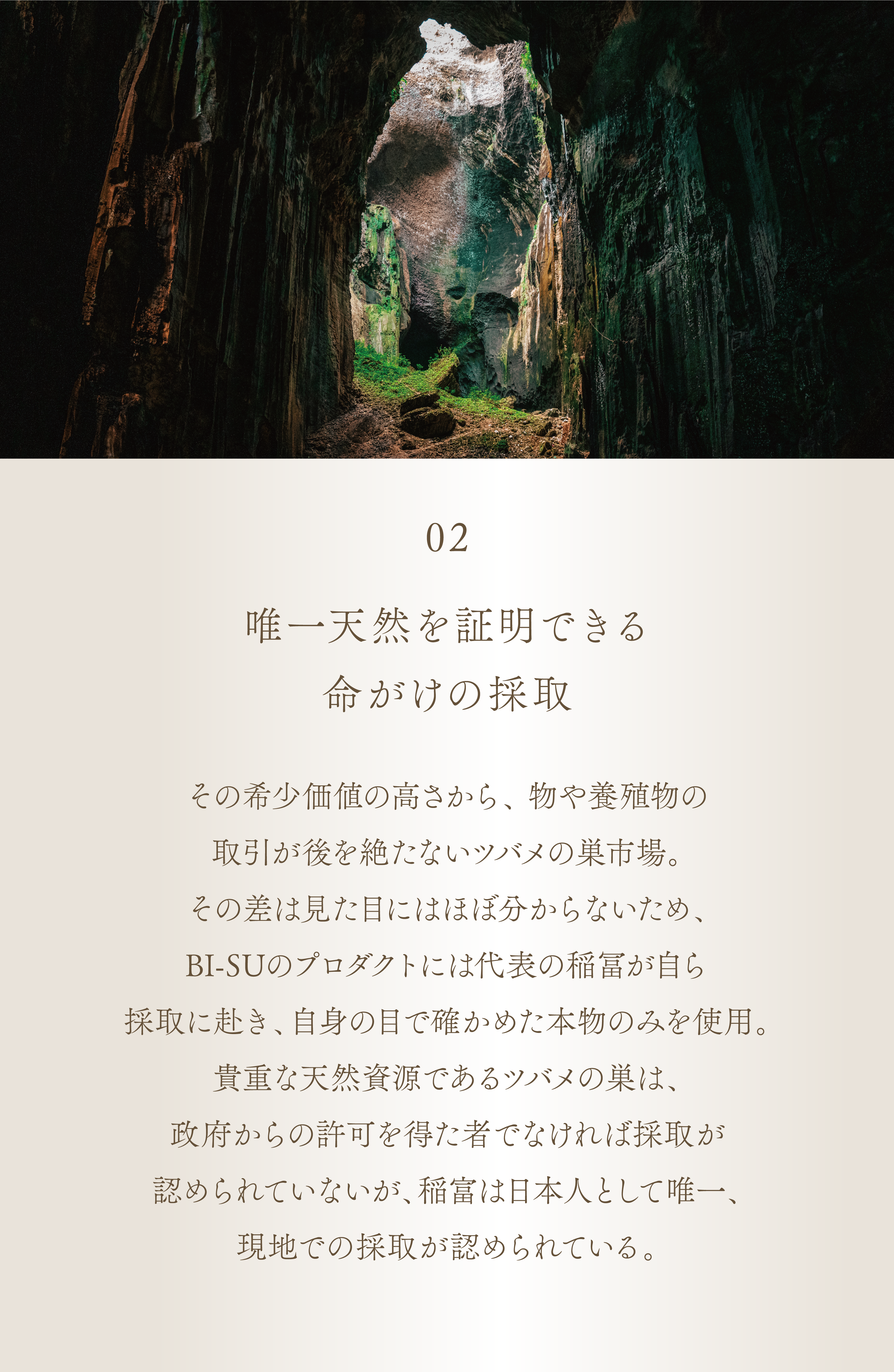 WebPの画像