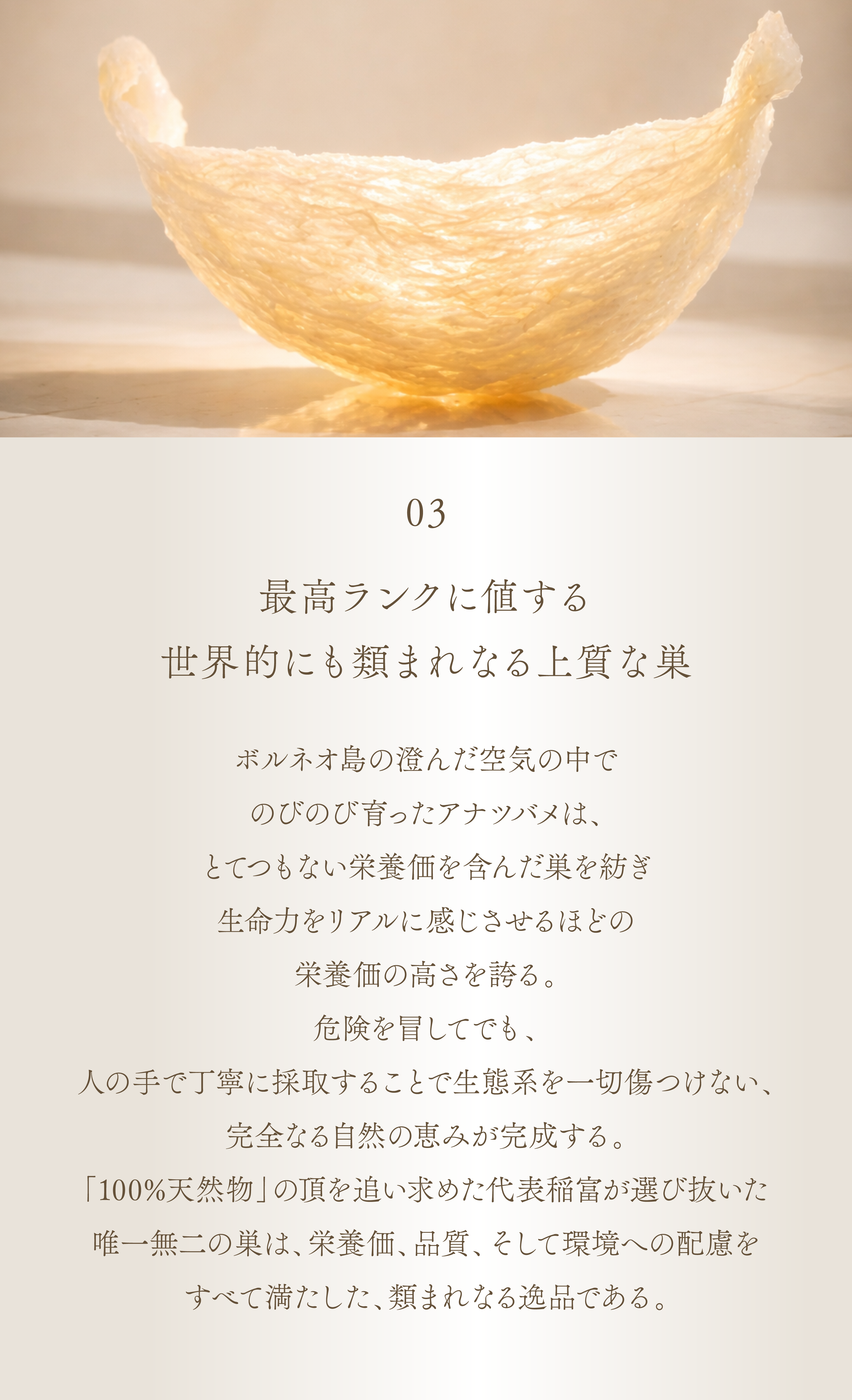 WebPの画像