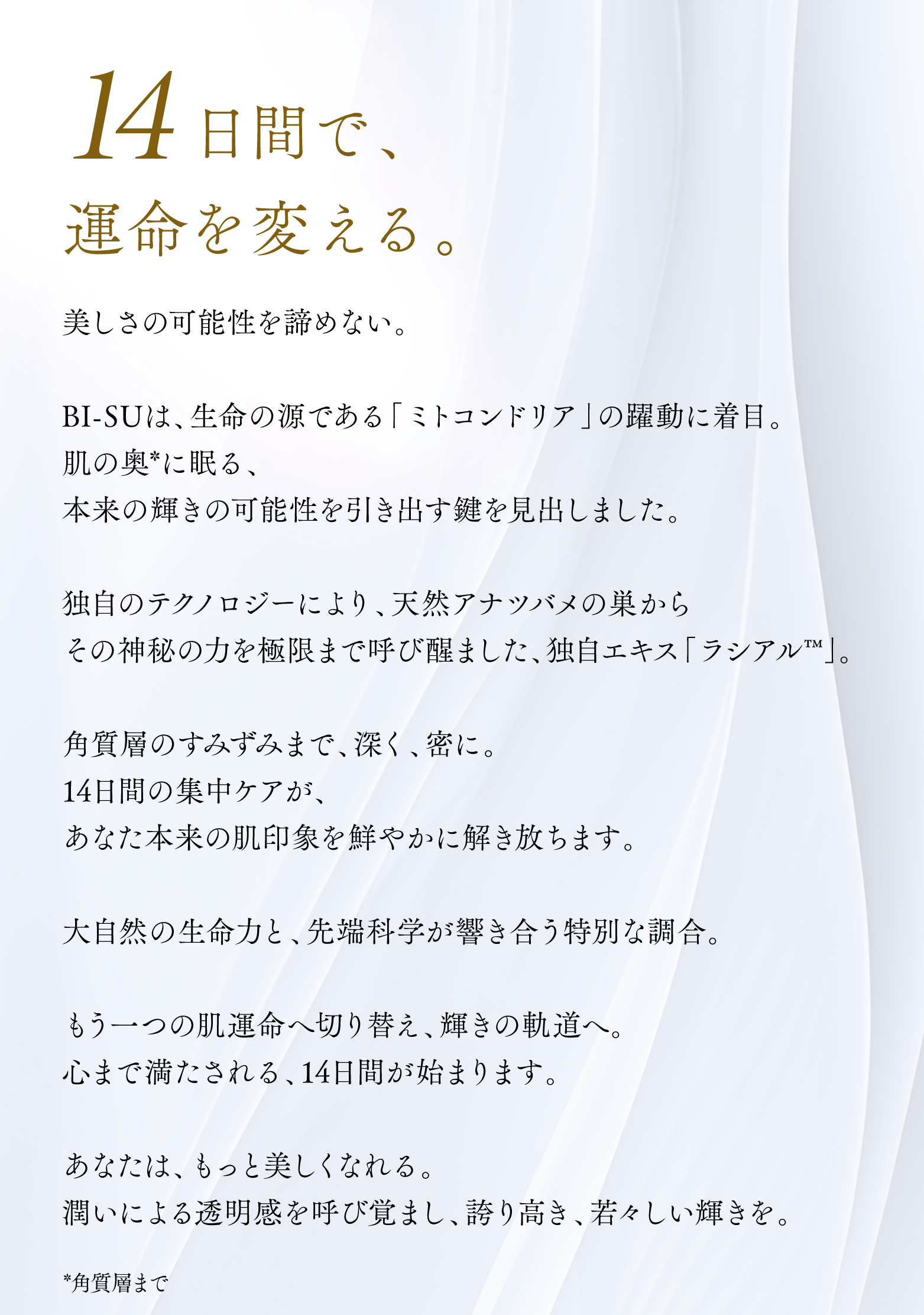 cranberry クランベリ