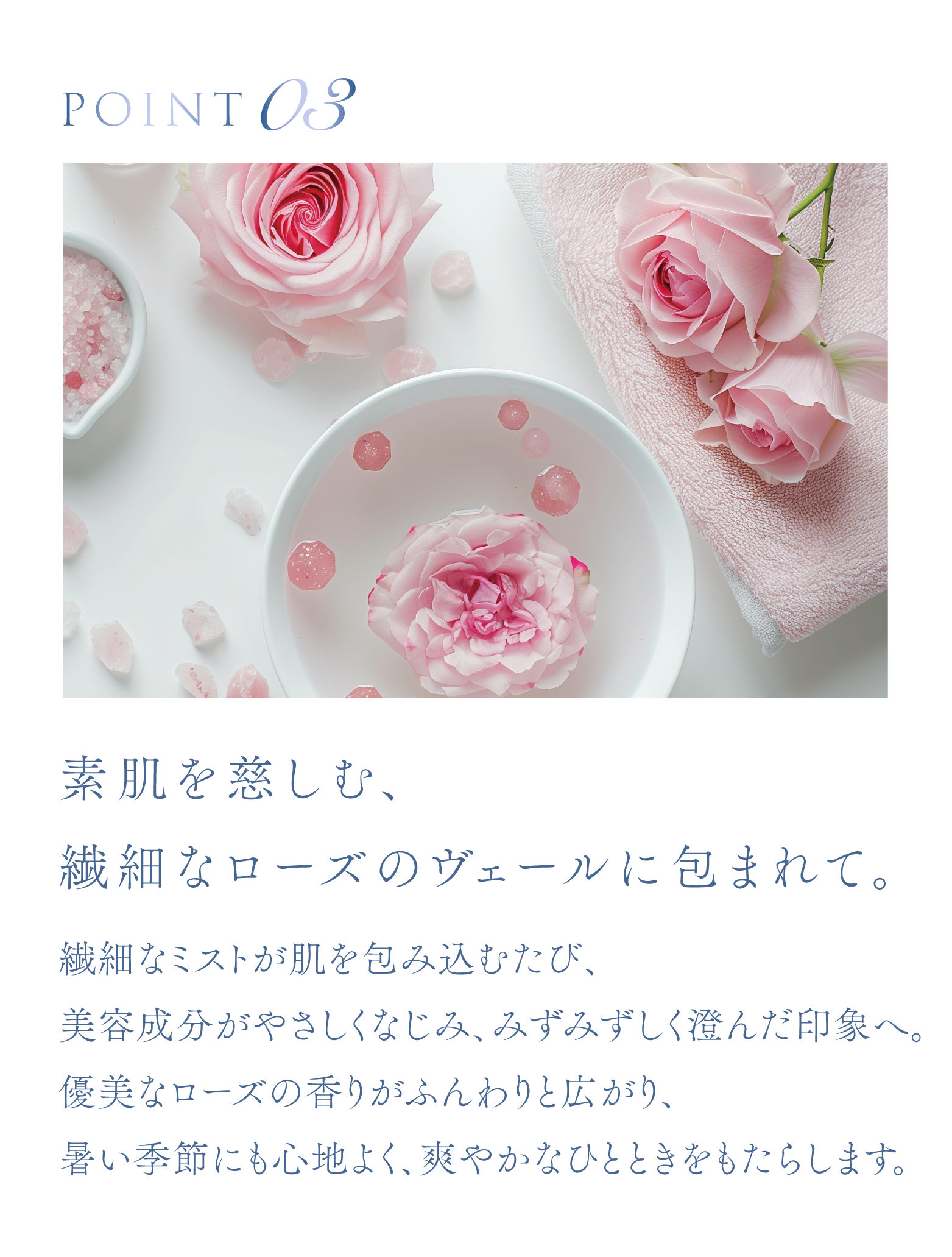 cranberry クランベリ
