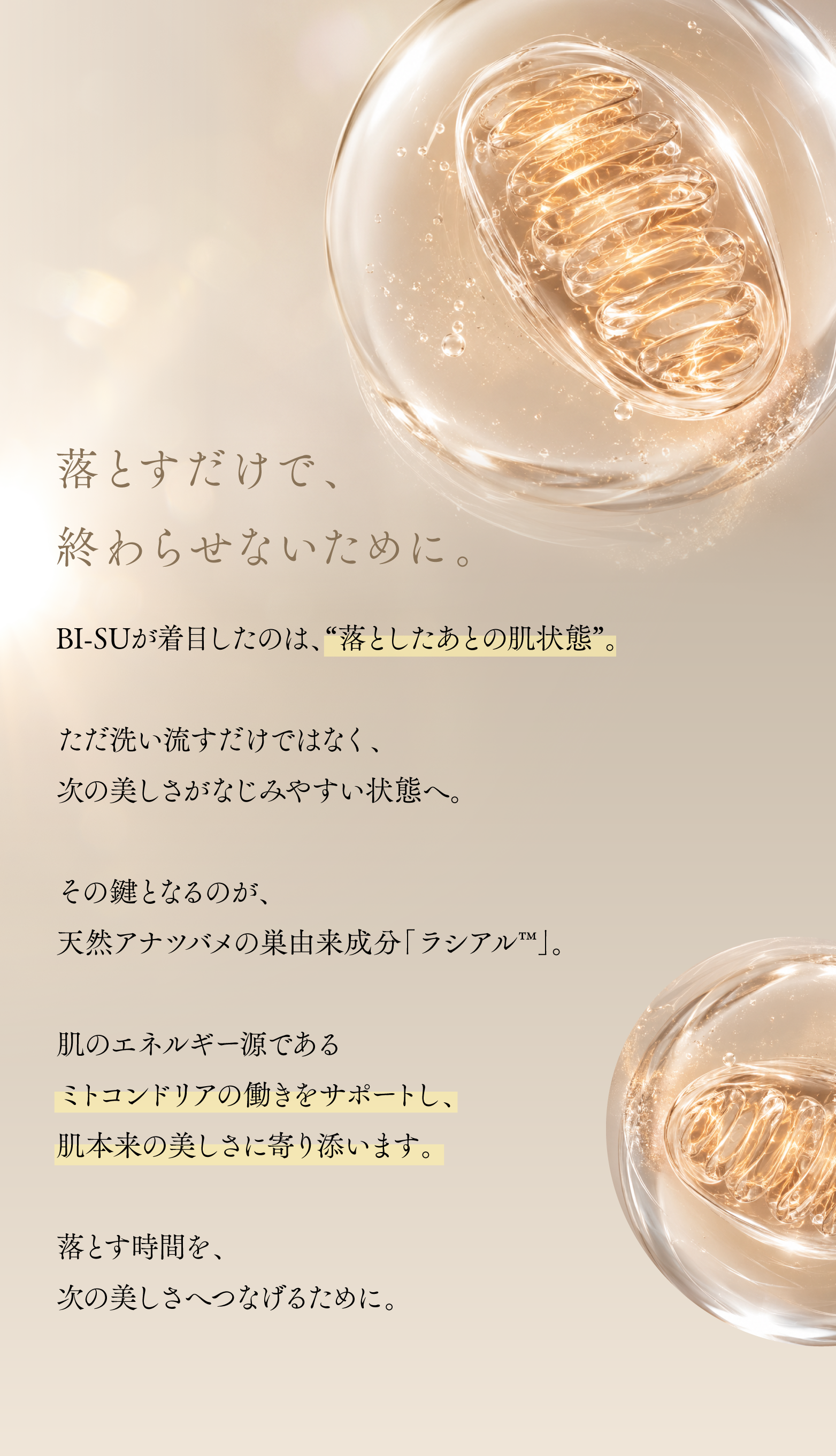 cranberry クランベリ