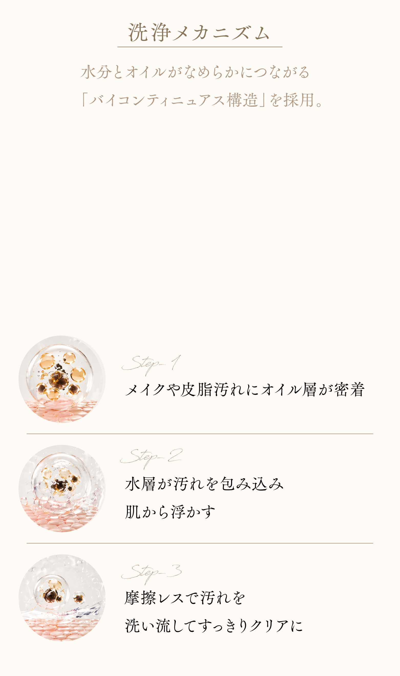 cranberry クランベリ