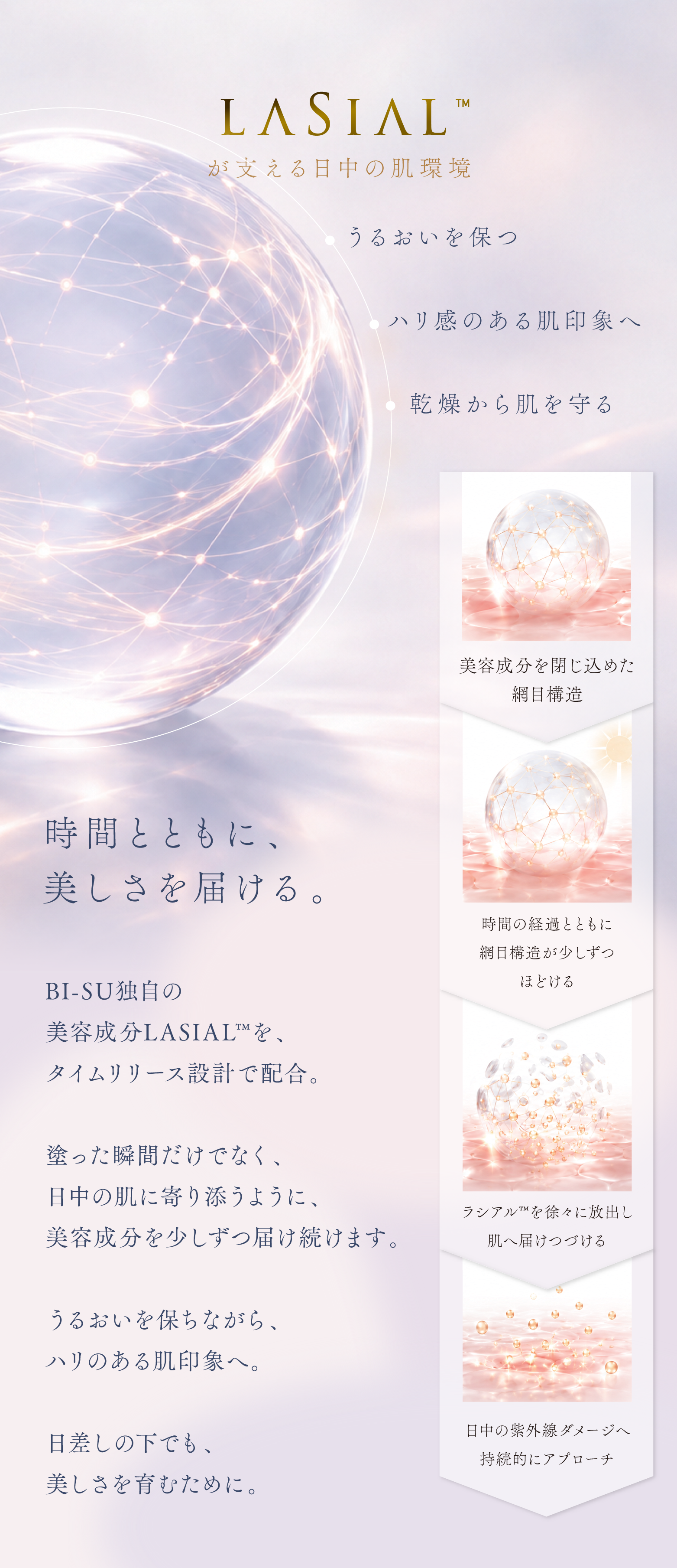 cranberry クランベリ