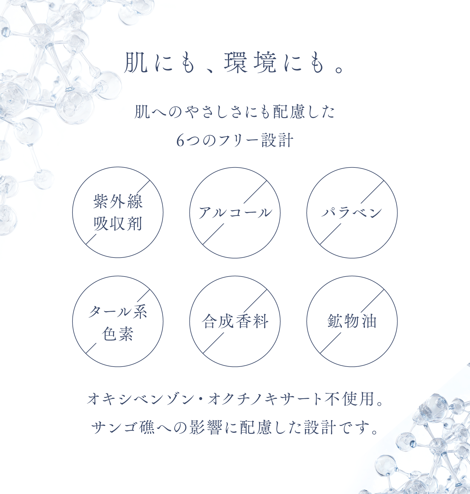 cranberry クランベリ