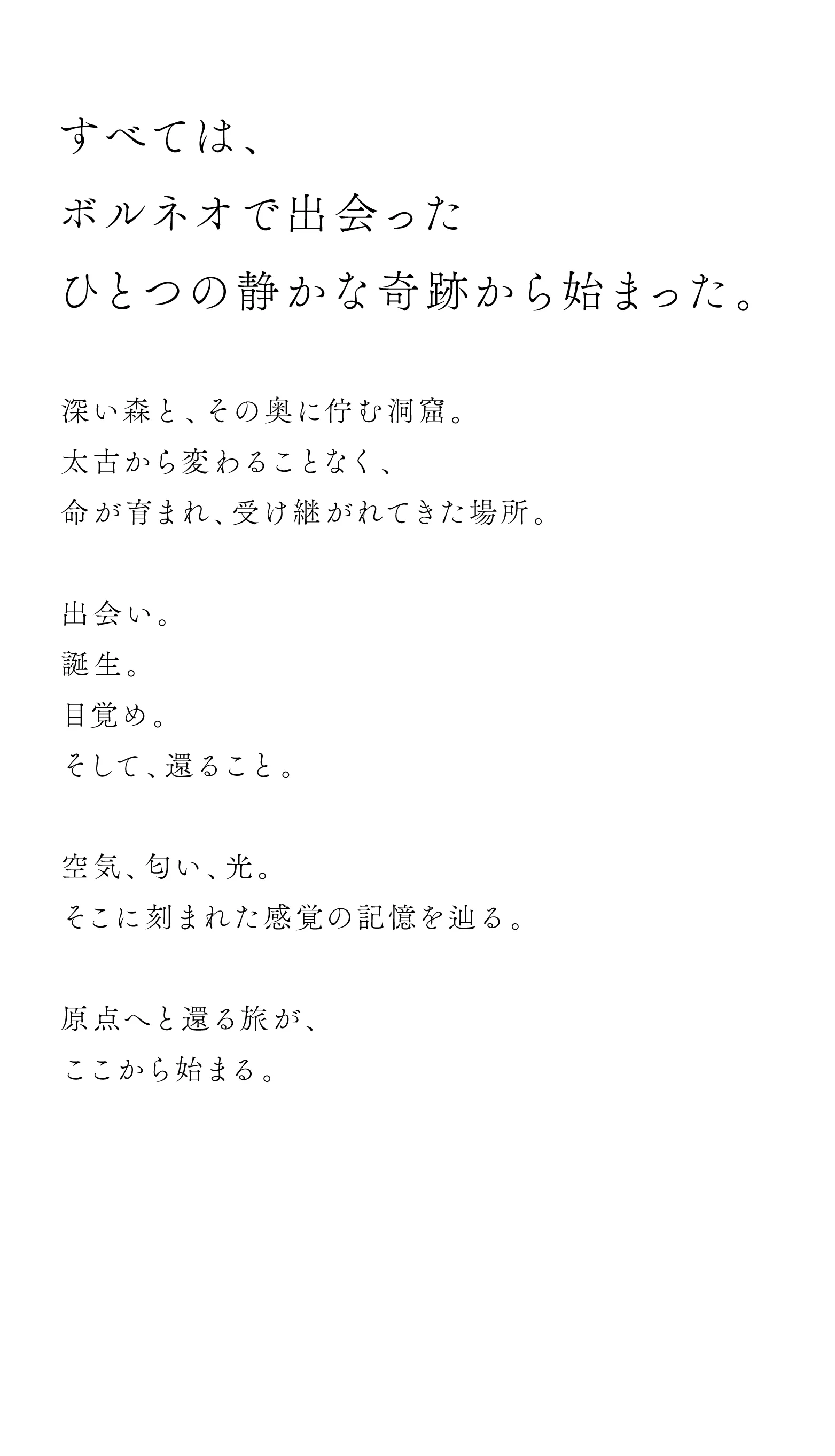 cranberry クランベリ