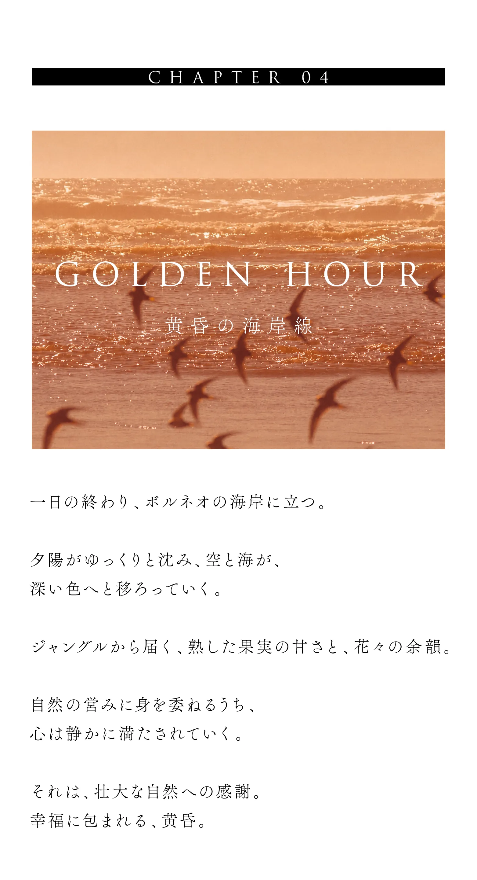 cranberry クランベリ