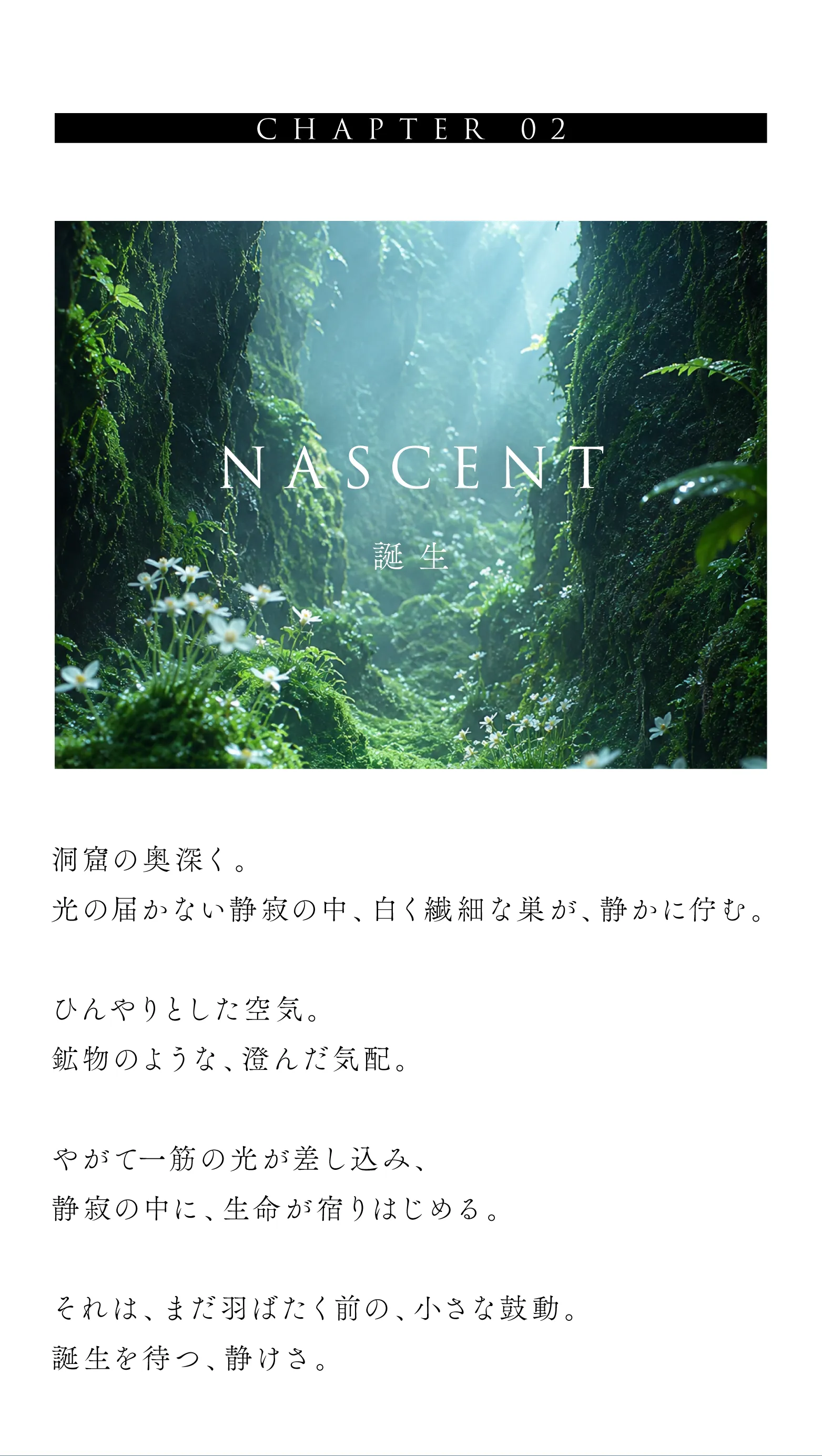 cranberry クランベリ