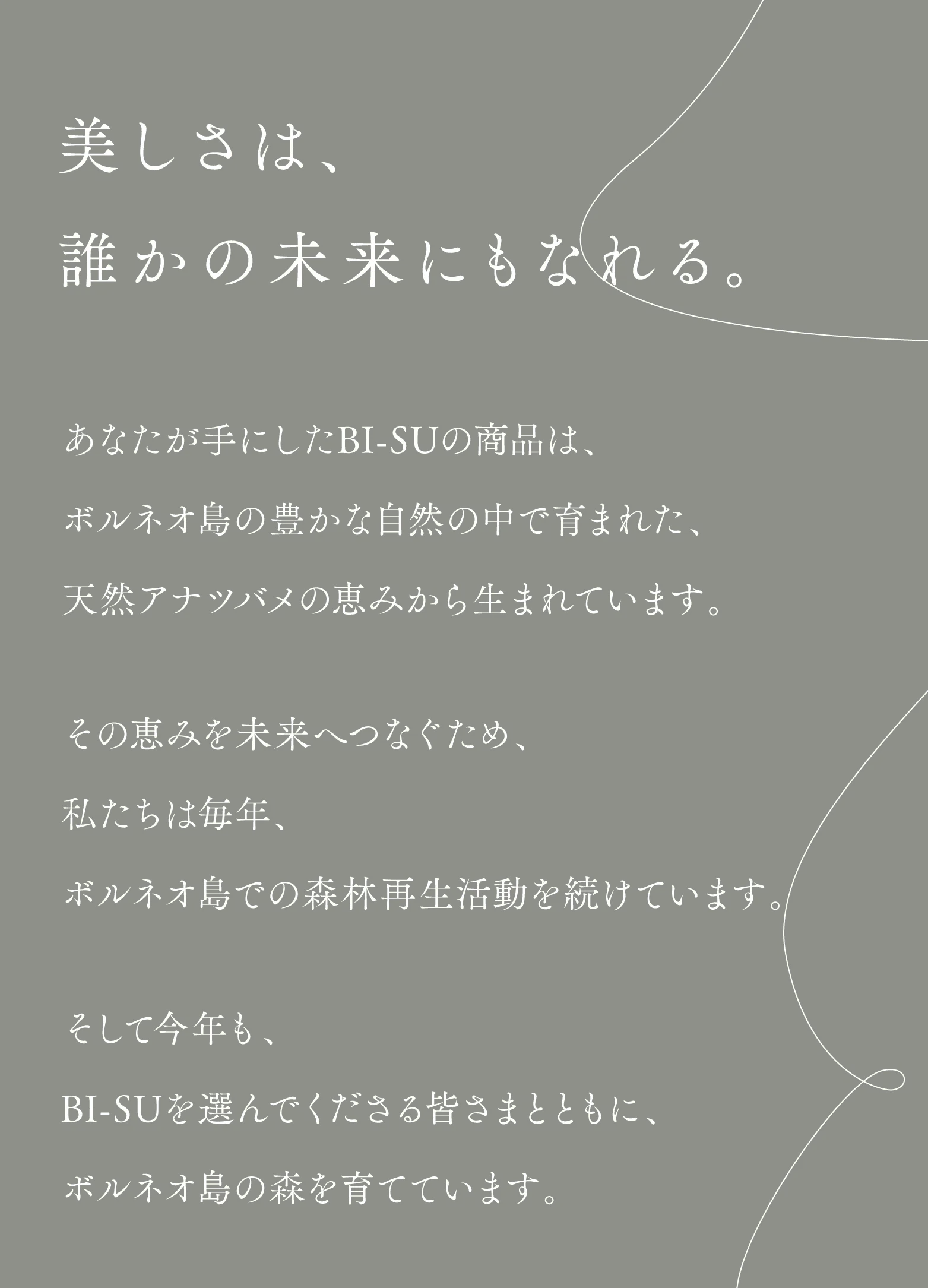 cranberry クランベリ