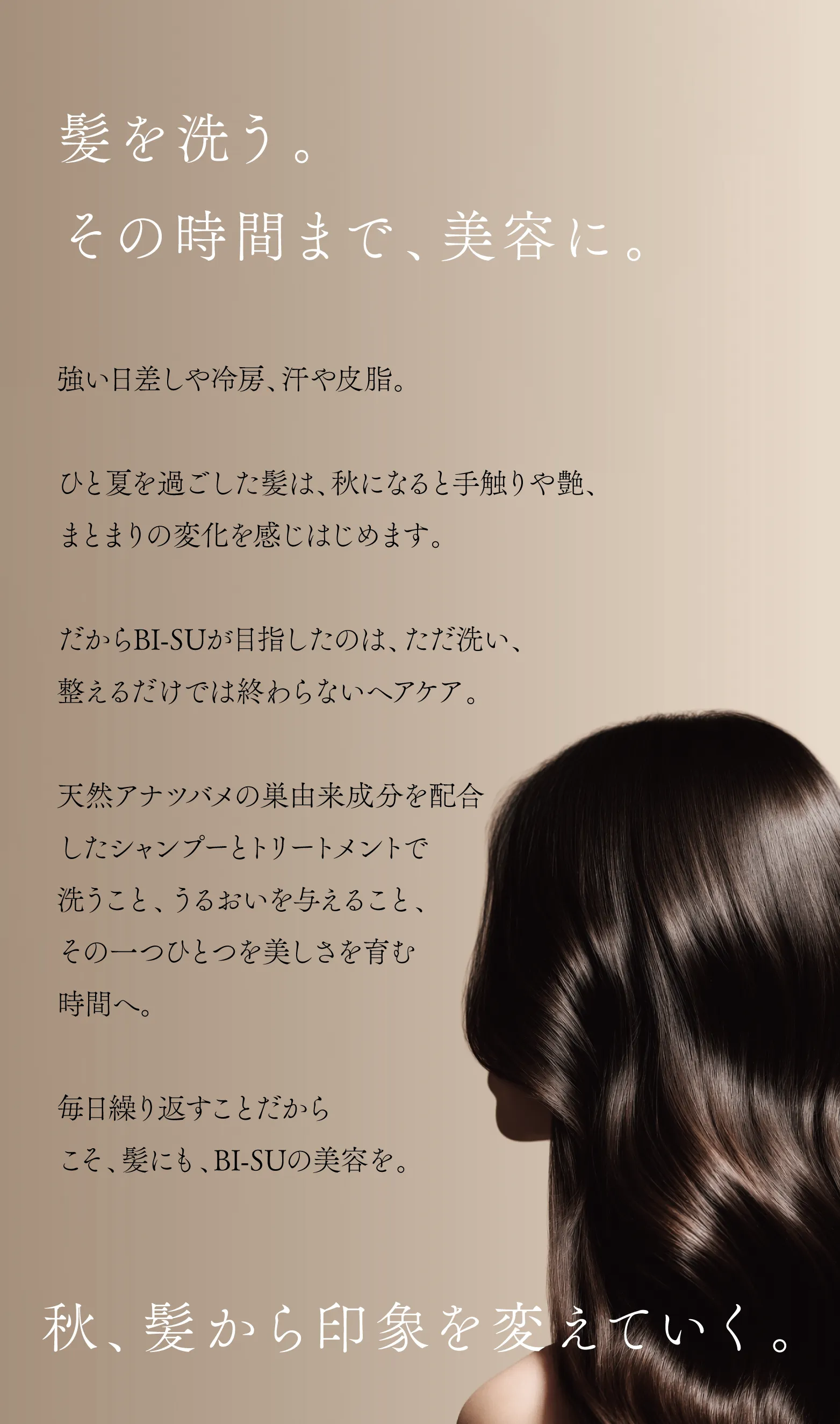 cranberry クランベリ