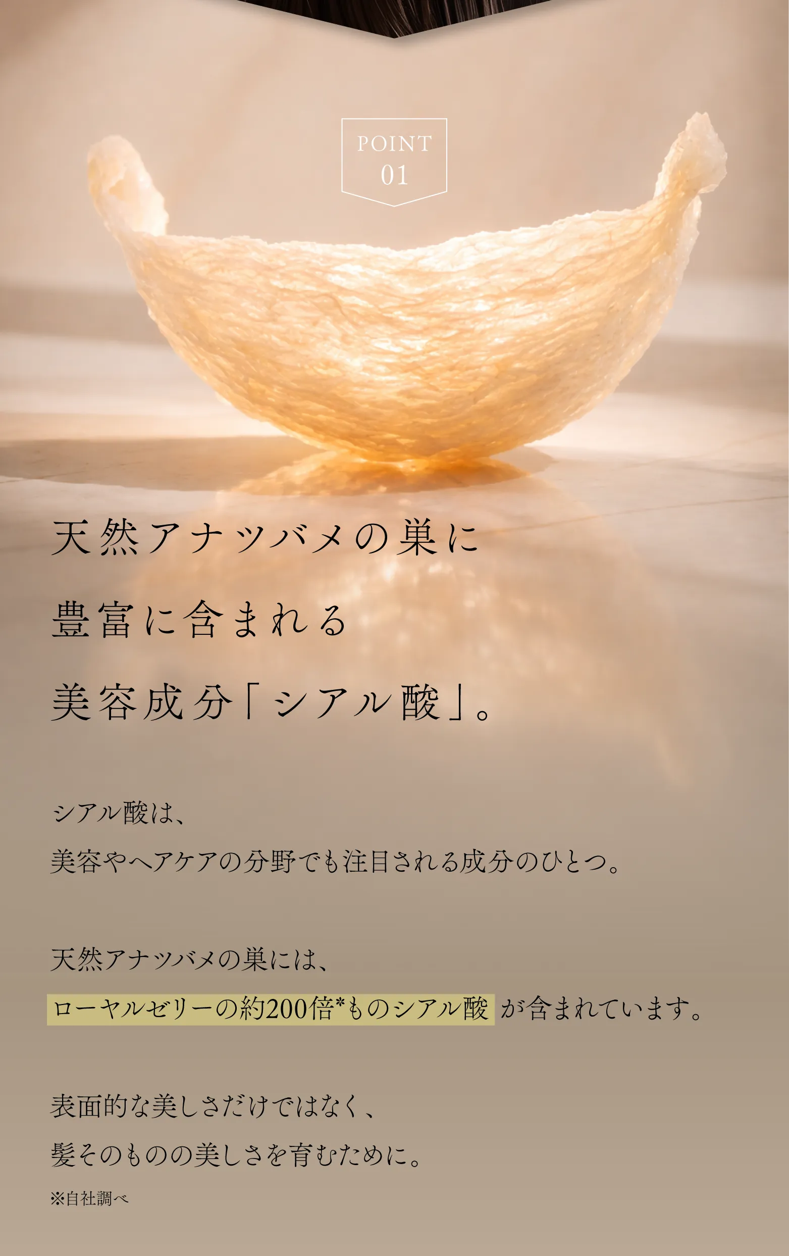 cranberry クランベリ