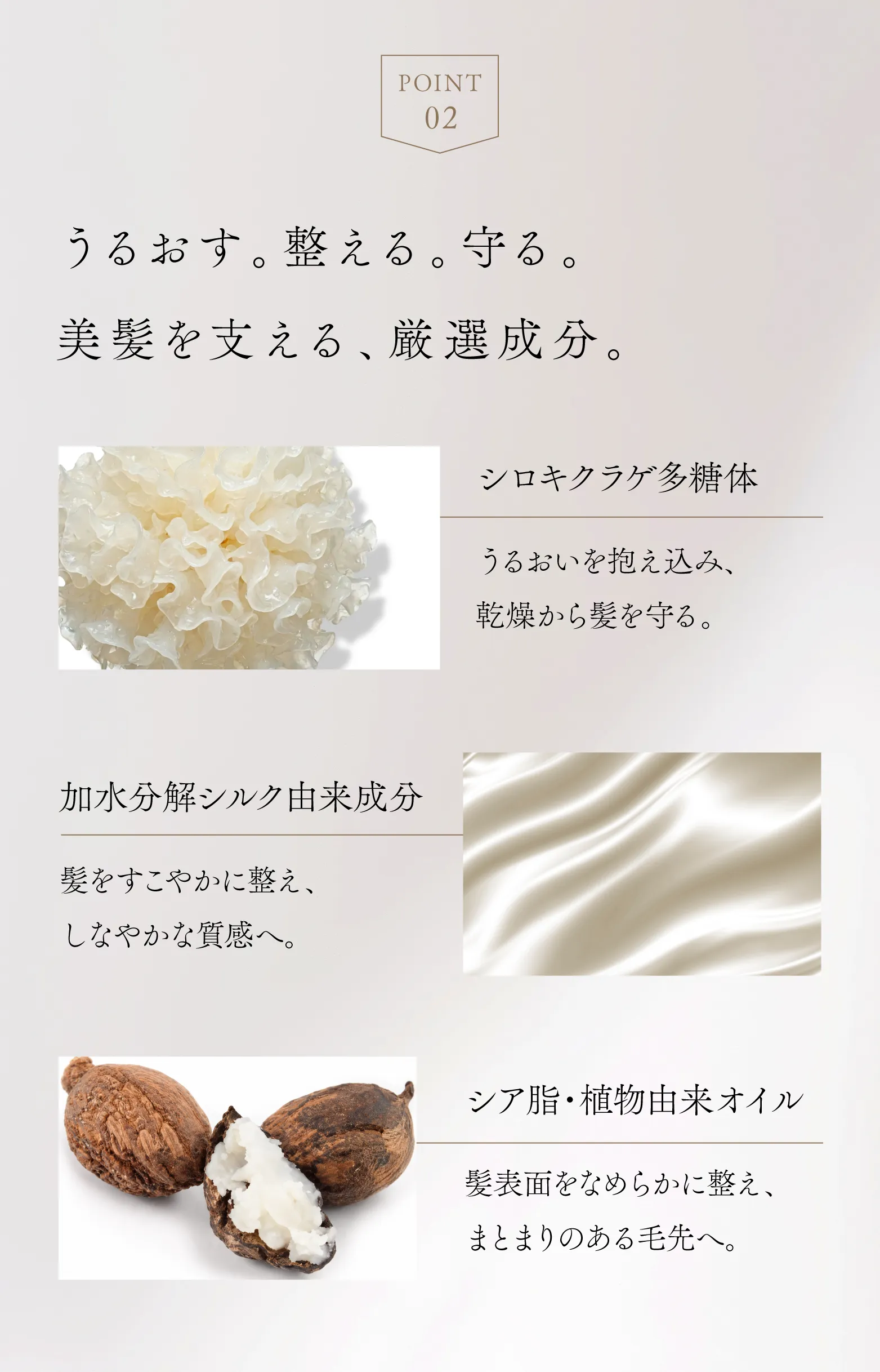 cranberry クランベリ