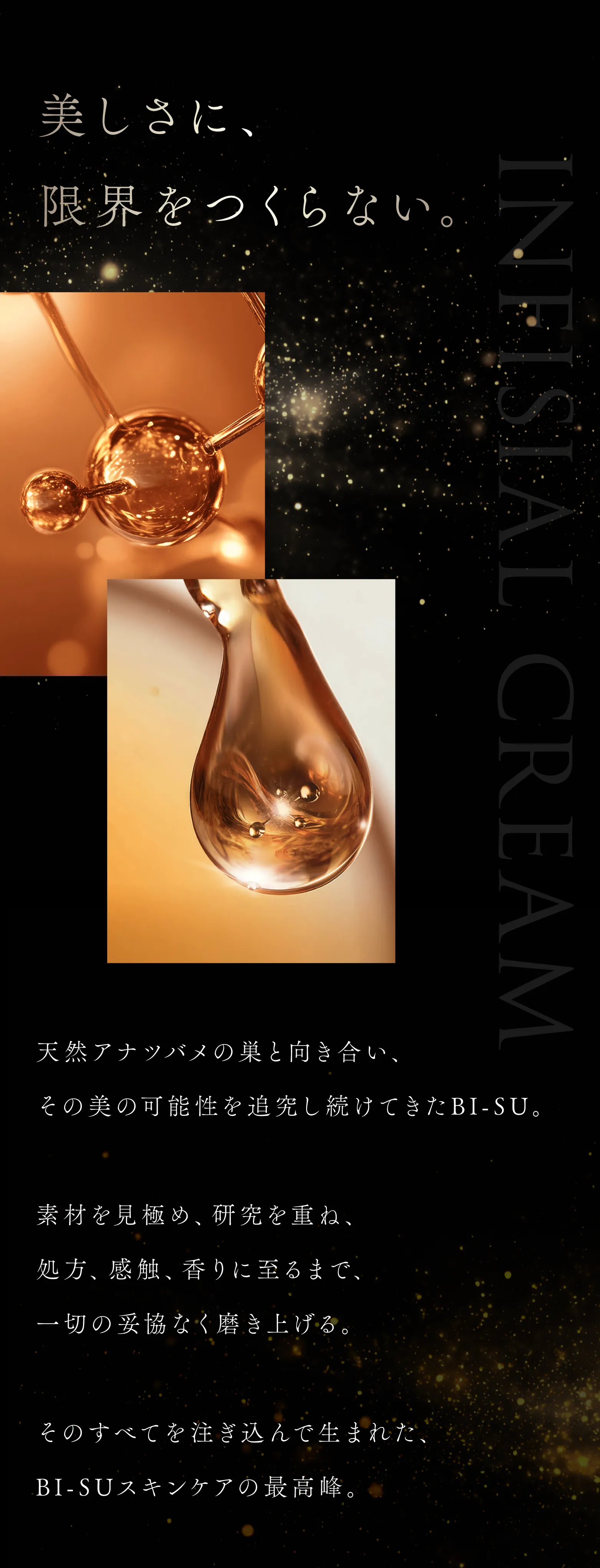WebPの画像
