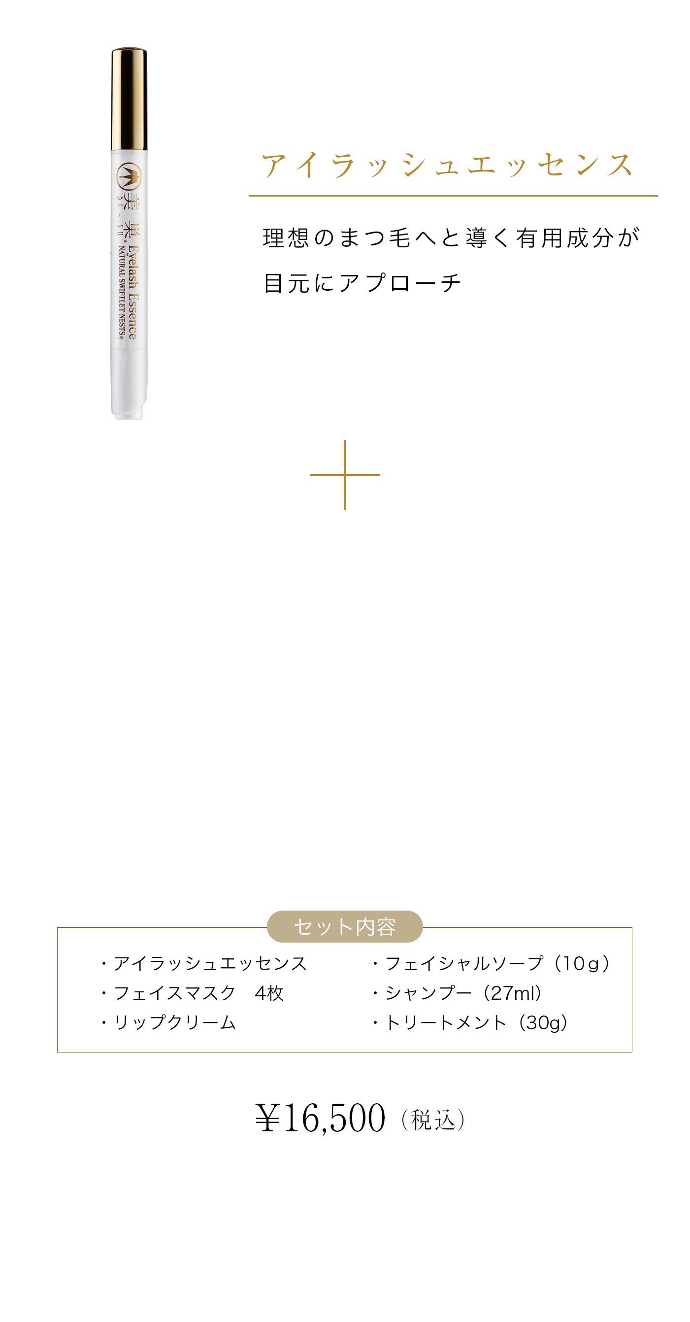 cranberry クランベリ