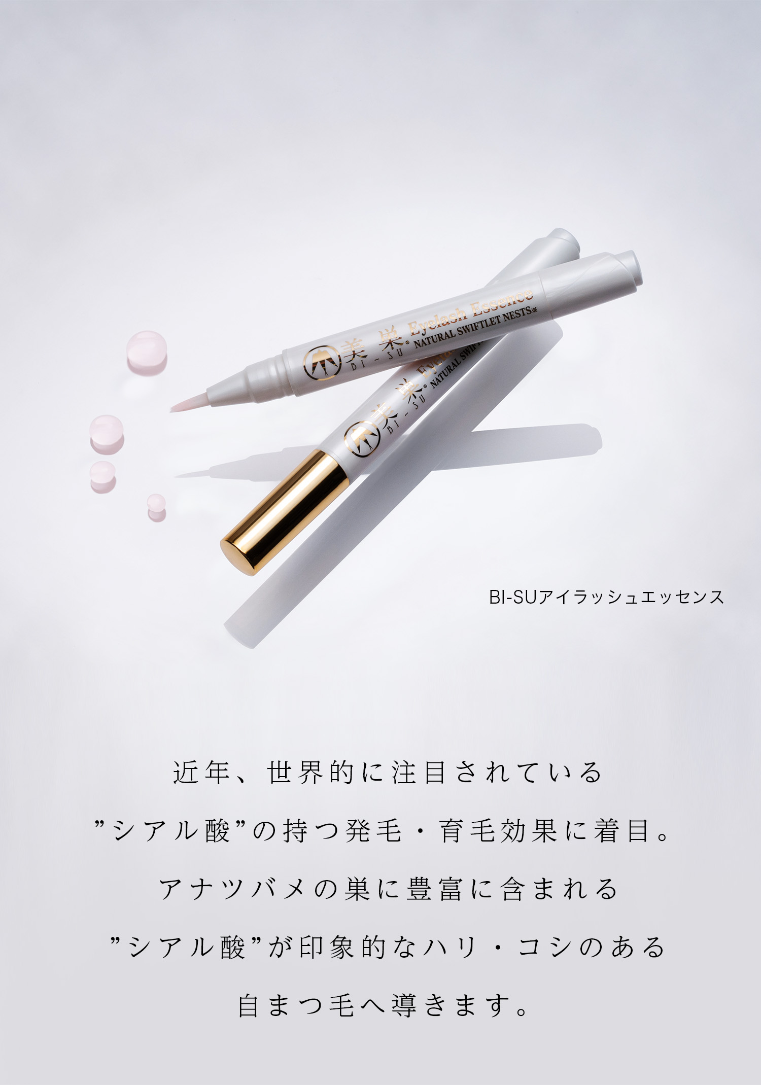cranberry クランベリ