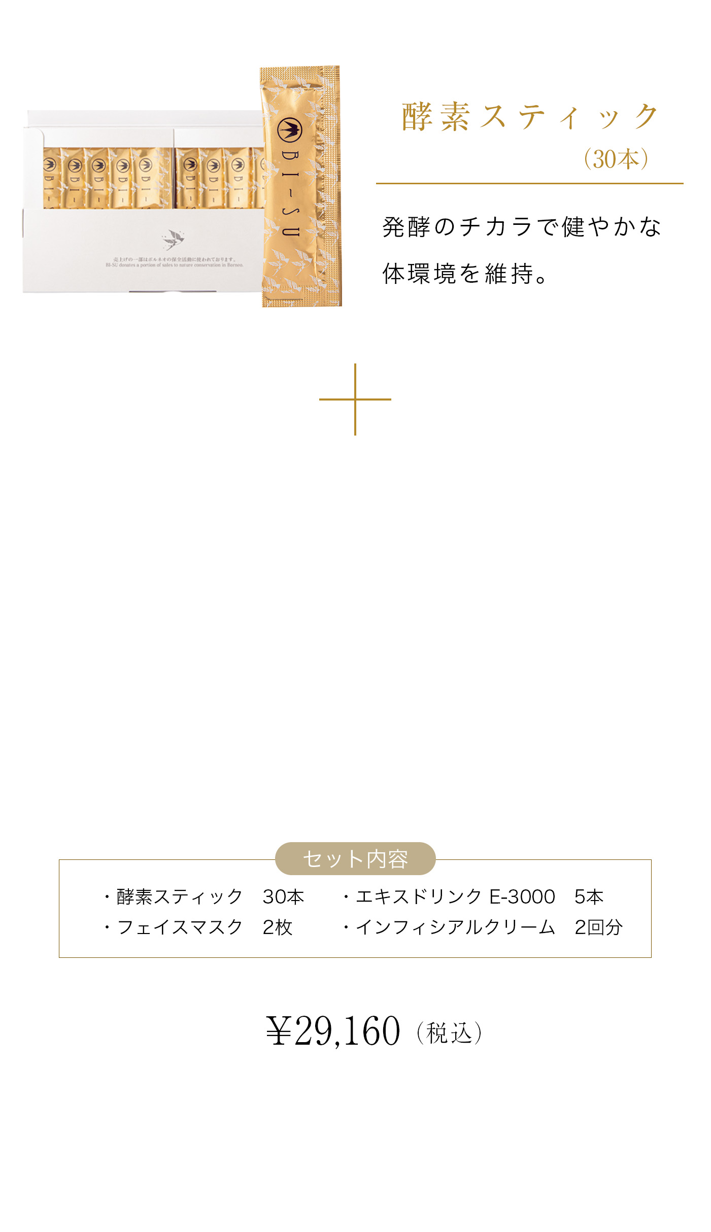 cranberry クランベリ