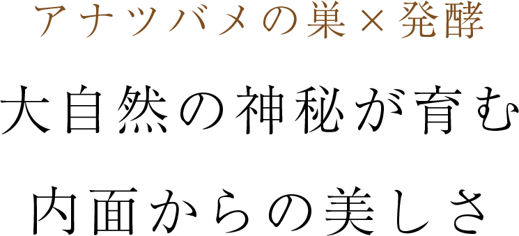 cranberry クランベリ