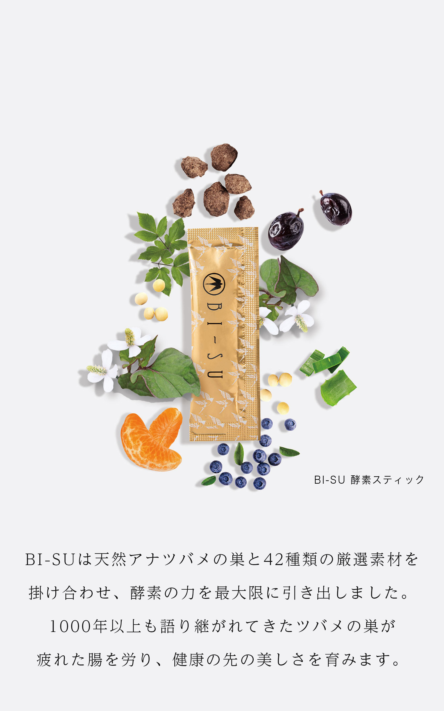 cranberry クランベリ