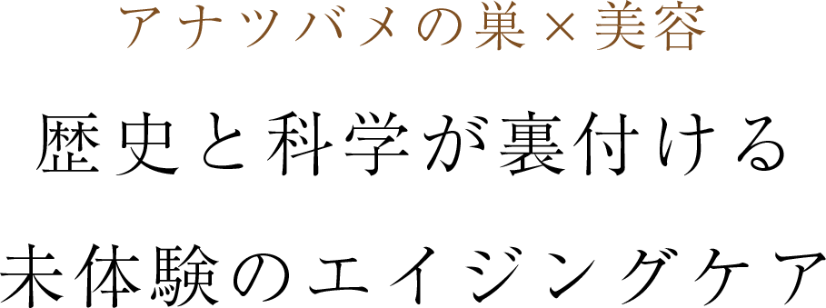 cranberry クランベリ
