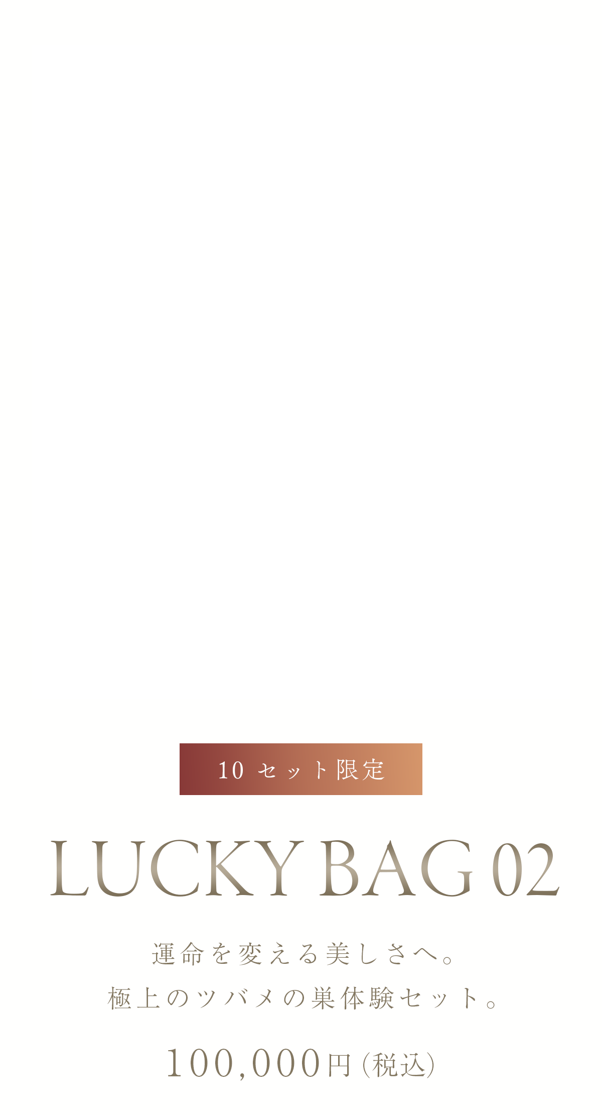 cranberry クランベリ