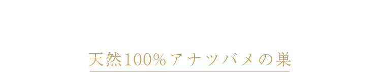 cranberry クランベリ