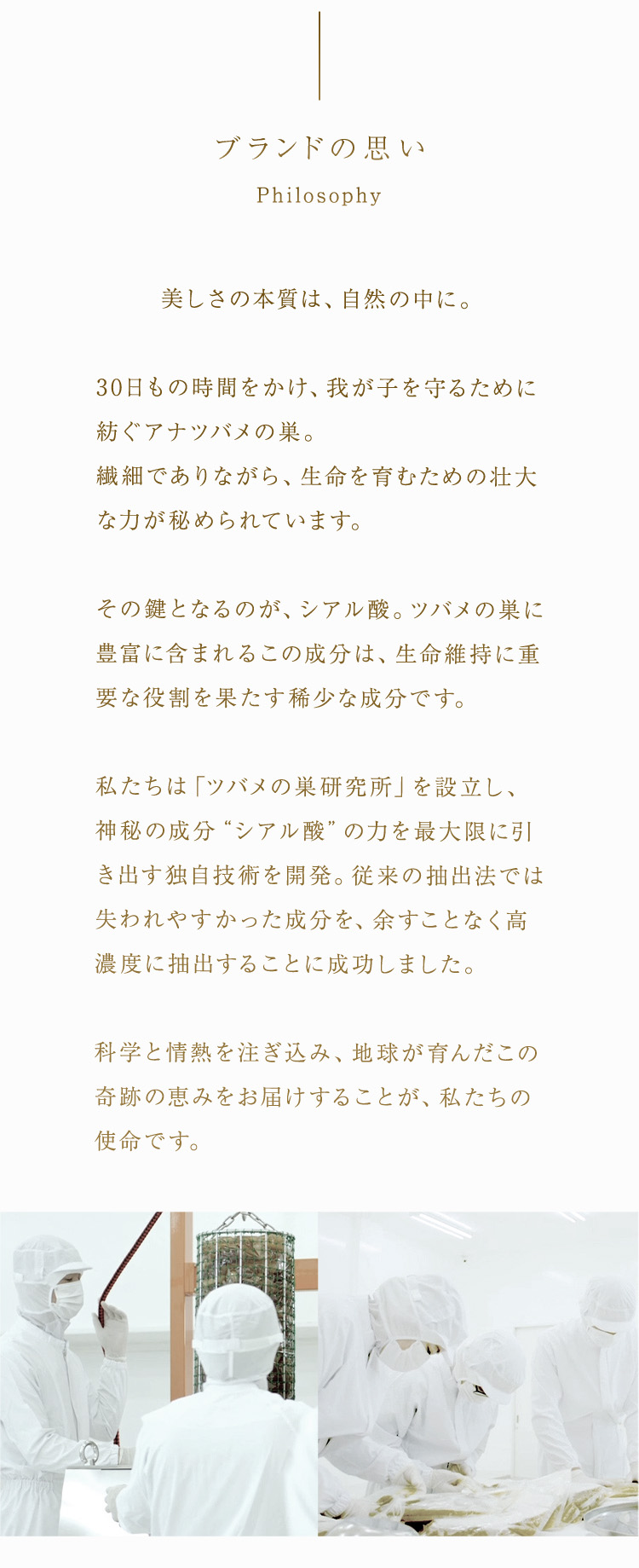 jelly クランベリ