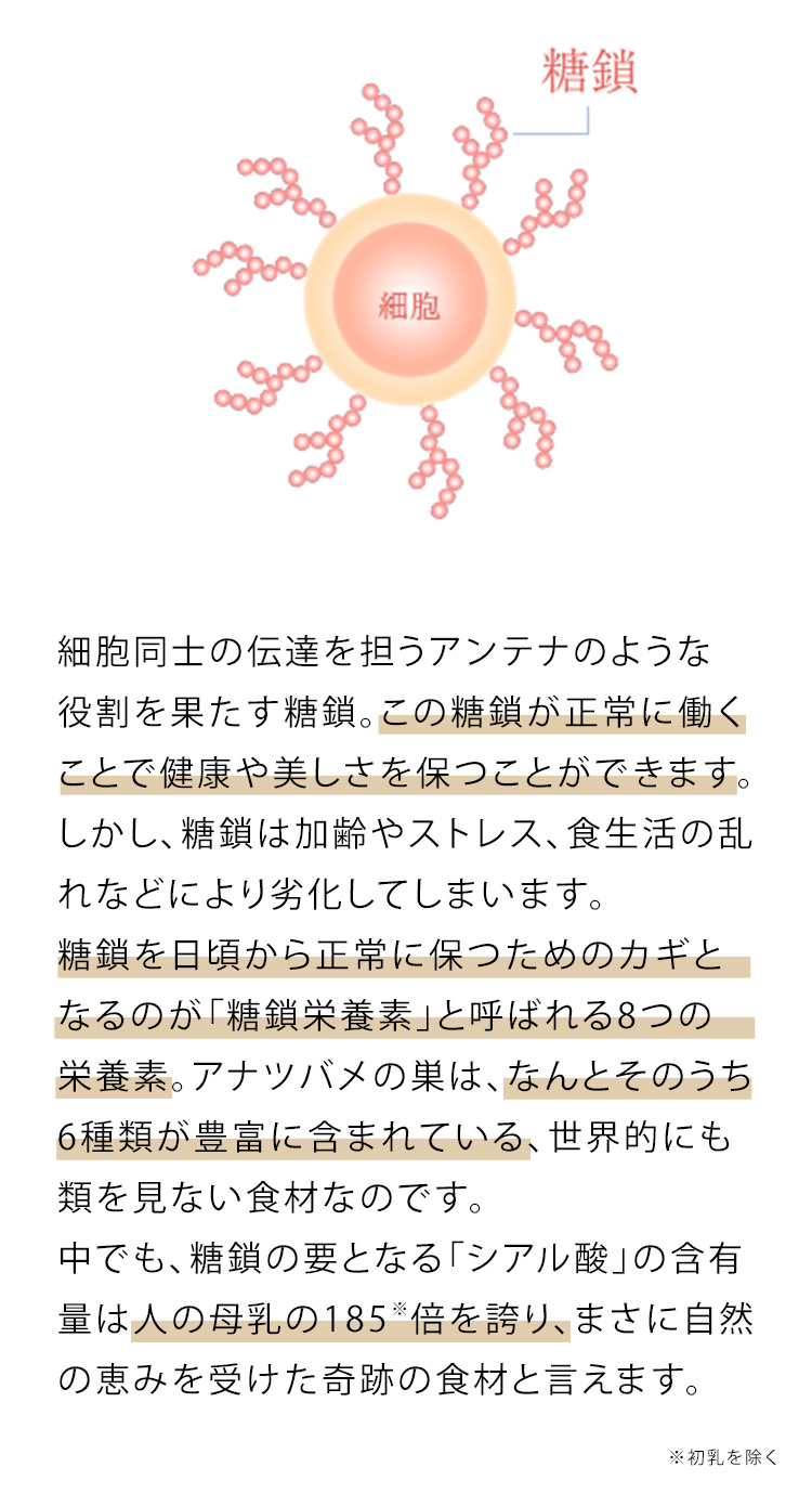 jelly クランベリ