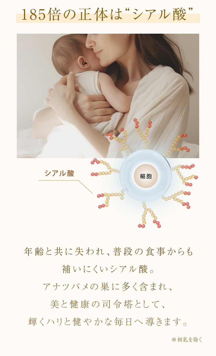 jelly クランベリ