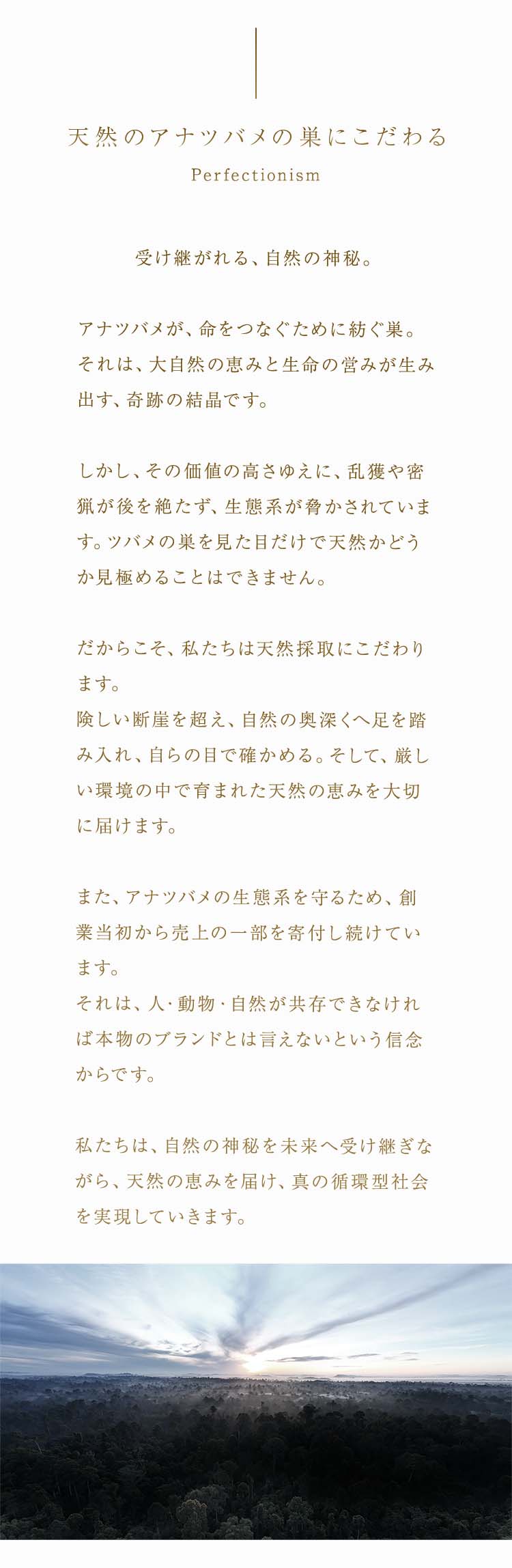 jelly クランベリ