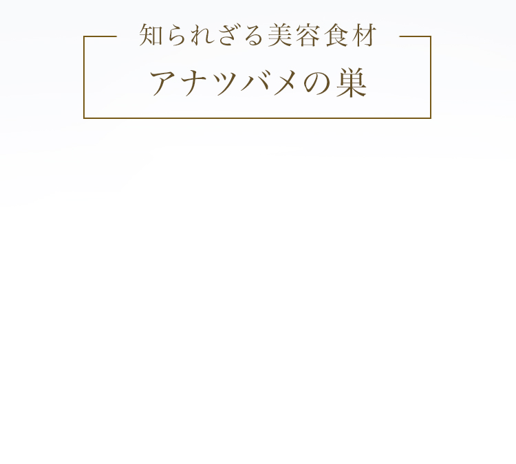 jelly クランベリ