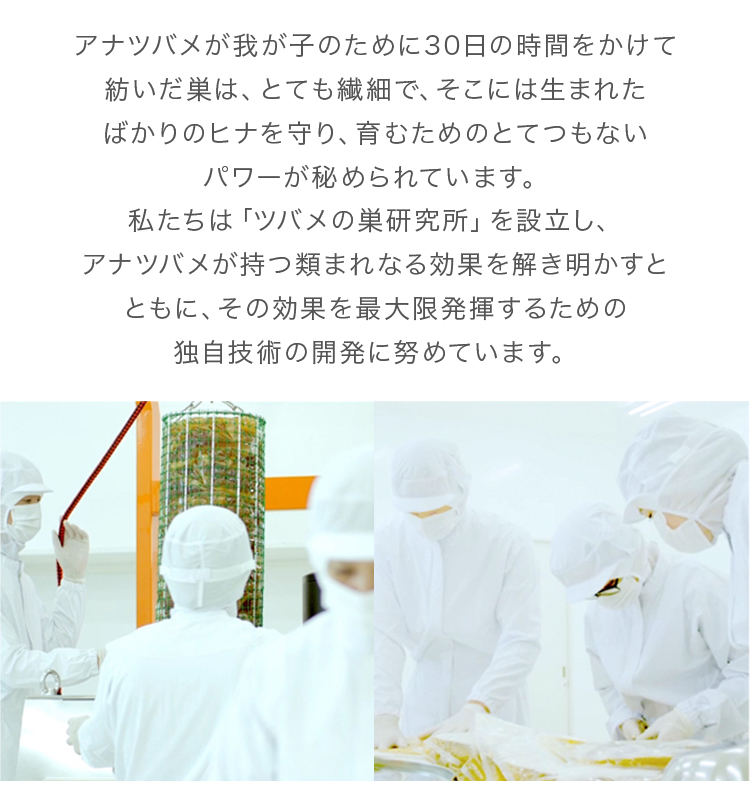 jelly クランベリ