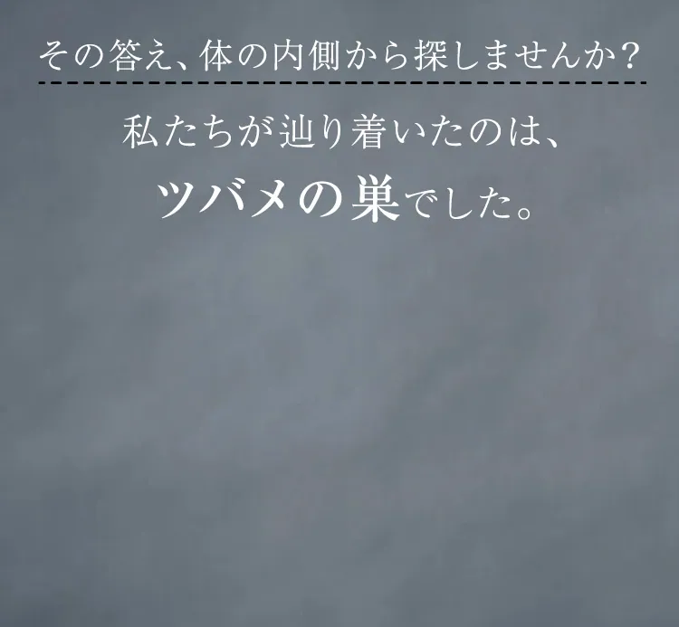 BI-SU BISU bisu bi su bi-su 美巣 ビース びーす bi ー su bi su エキス ゼリー ビス エキス ゼリースティック 美 巣 エキス ゼリー スティック 美 巣 クーポン ビース ツバメ の 巣 口コミ bisu 効果