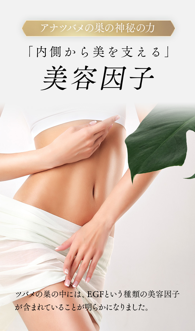 BI-SUエキスゼリースティック BI-SUエキスゼリースティック
