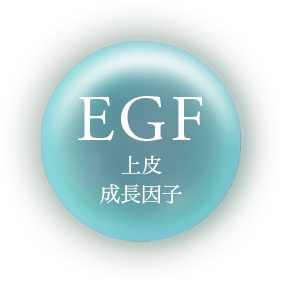 EGF 上皮細胞成長因子