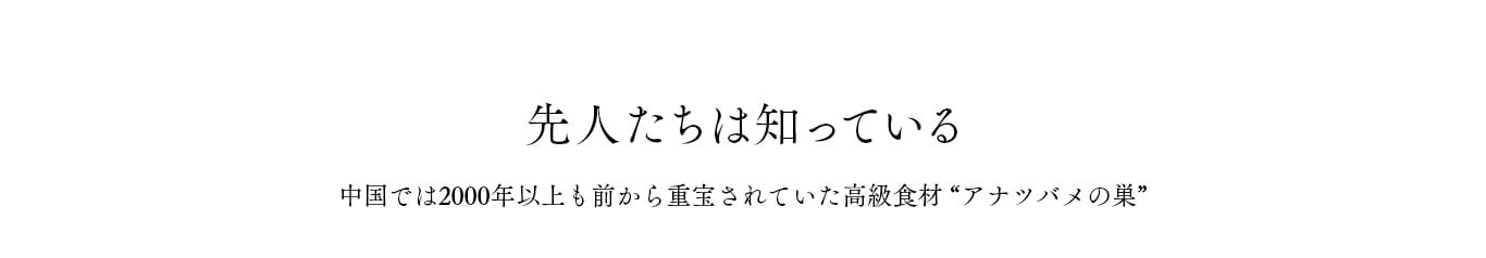 先人たちは知っている