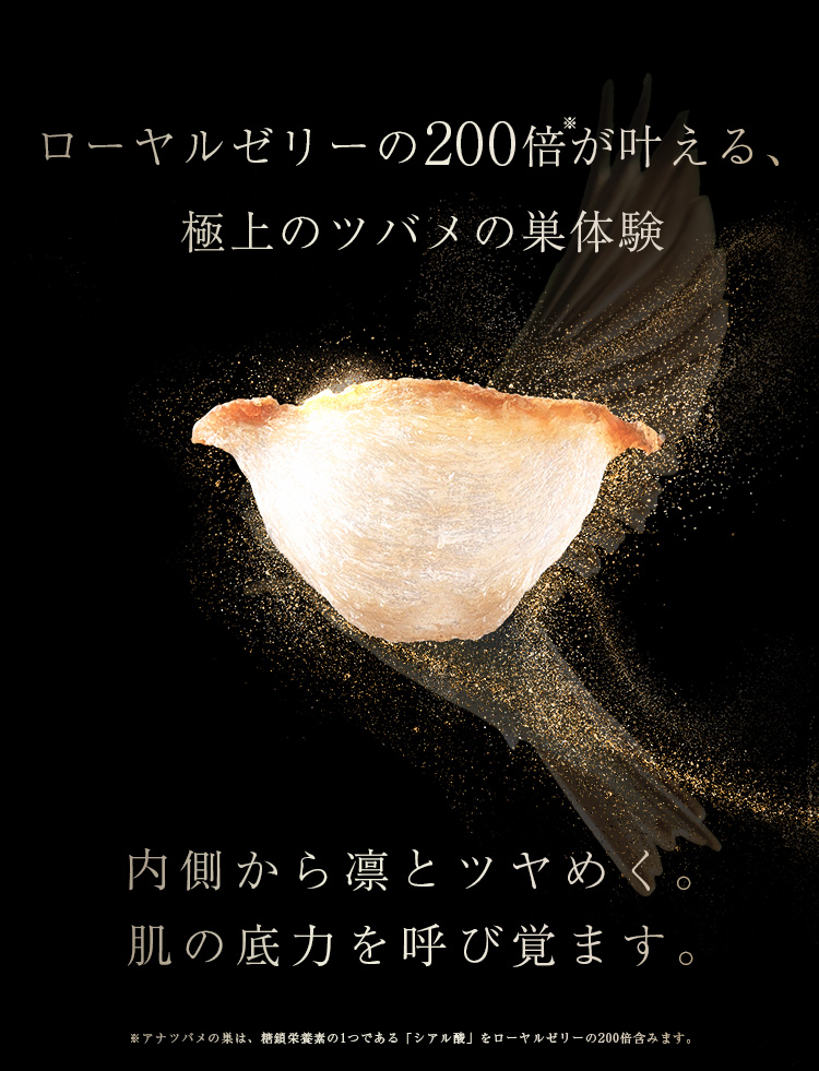 WebPの画像
