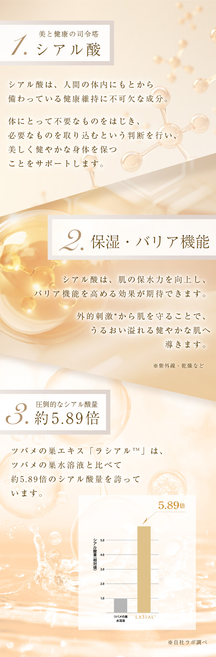 WebPの画像