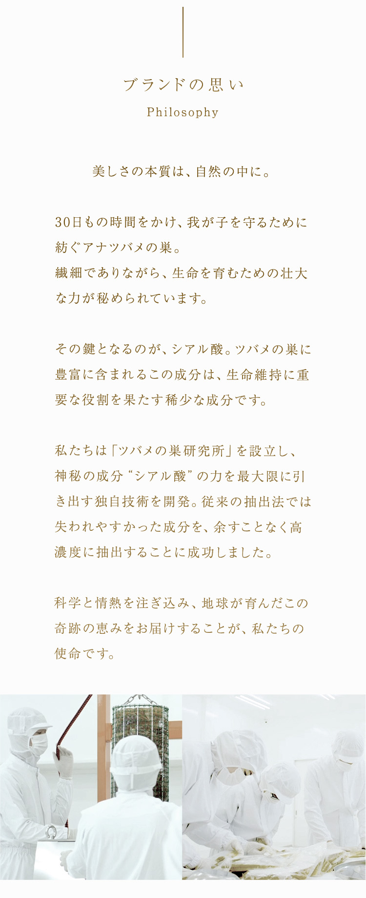 WebPの画像