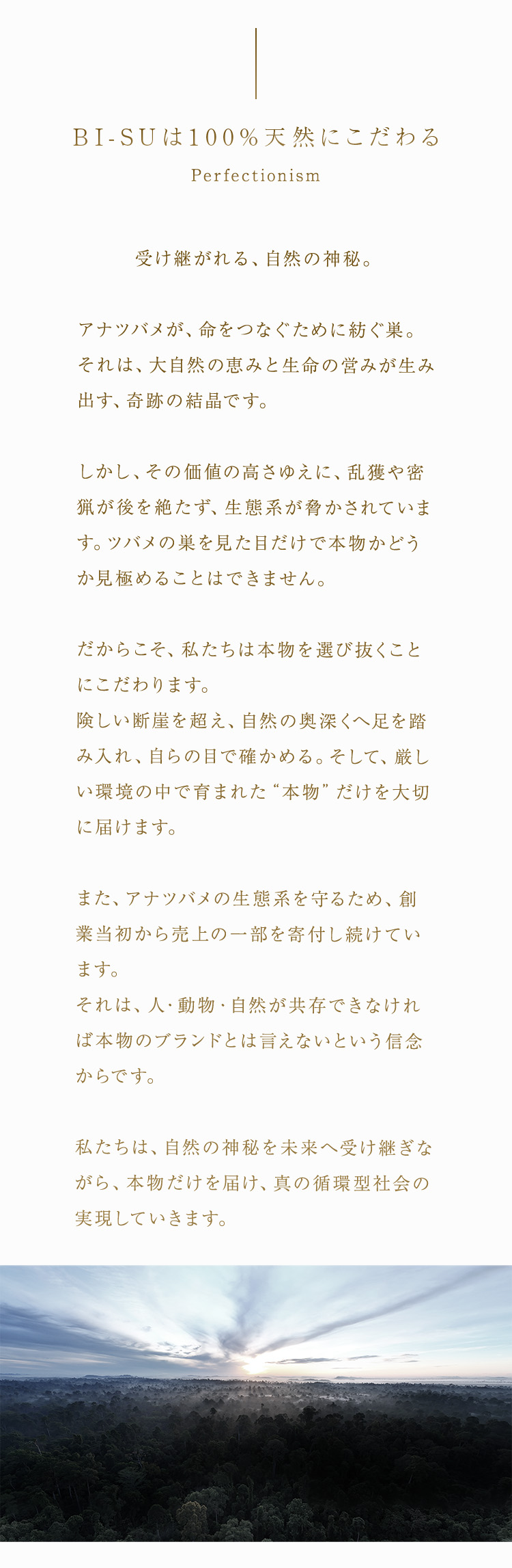 WebPの画像