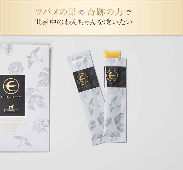 在庫処分特価 新品未開封 ミラネストゼリースティックFOR DOG ささみ
